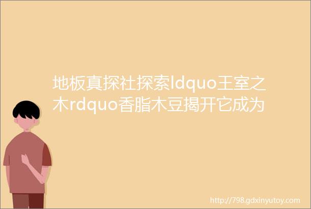 地板真探社探索ldquo王室之木rdquo香脂木豆揭开它成为ldquo顶流rdquo的秘密