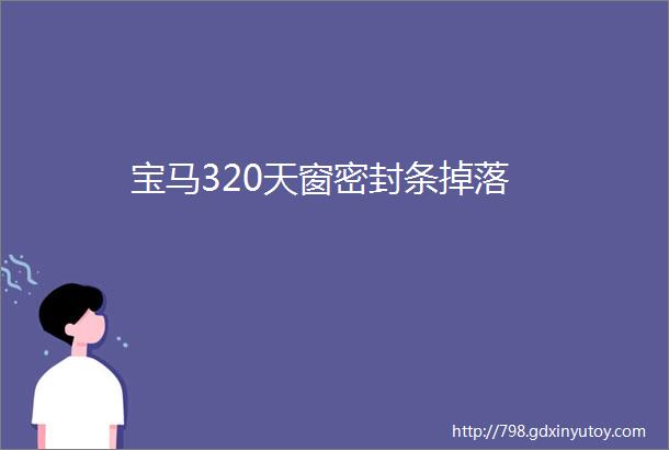 宝马320天窗密封条掉落