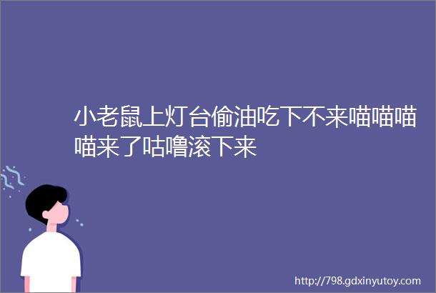 小老鼠上灯台偷油吃下不来喵喵喵喵来了咕噜滚下来