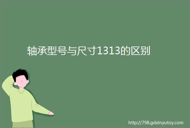 轴承型号与尺寸1313的区别