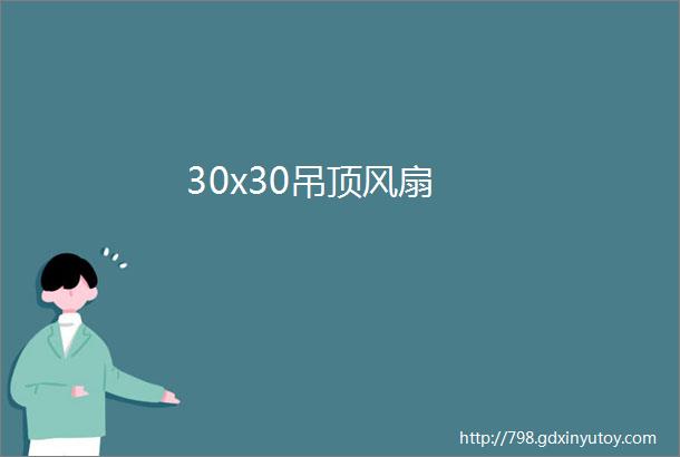 30x30吊顶风扇